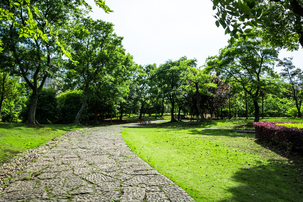 Conheça o Parque Burle Marx, um dos cartões-postais do Morumbi